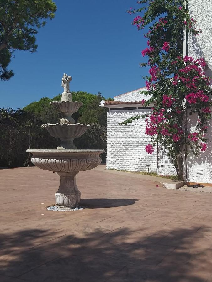Entre Pinos Y Playa Appartement Matalascañas Buitenkant foto